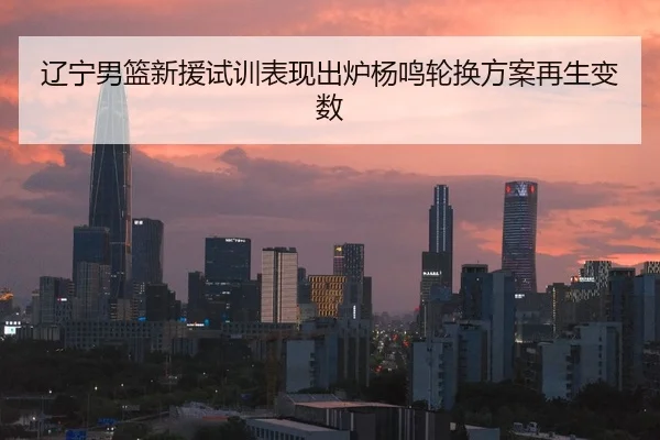 辽宁男篮新援试训表现出炉杨鸣轮换方案再生变数