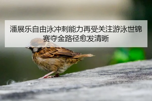 潘展乐自由泳冲刺能力再受关注游泳世锦赛夺金路径愈发清晰
